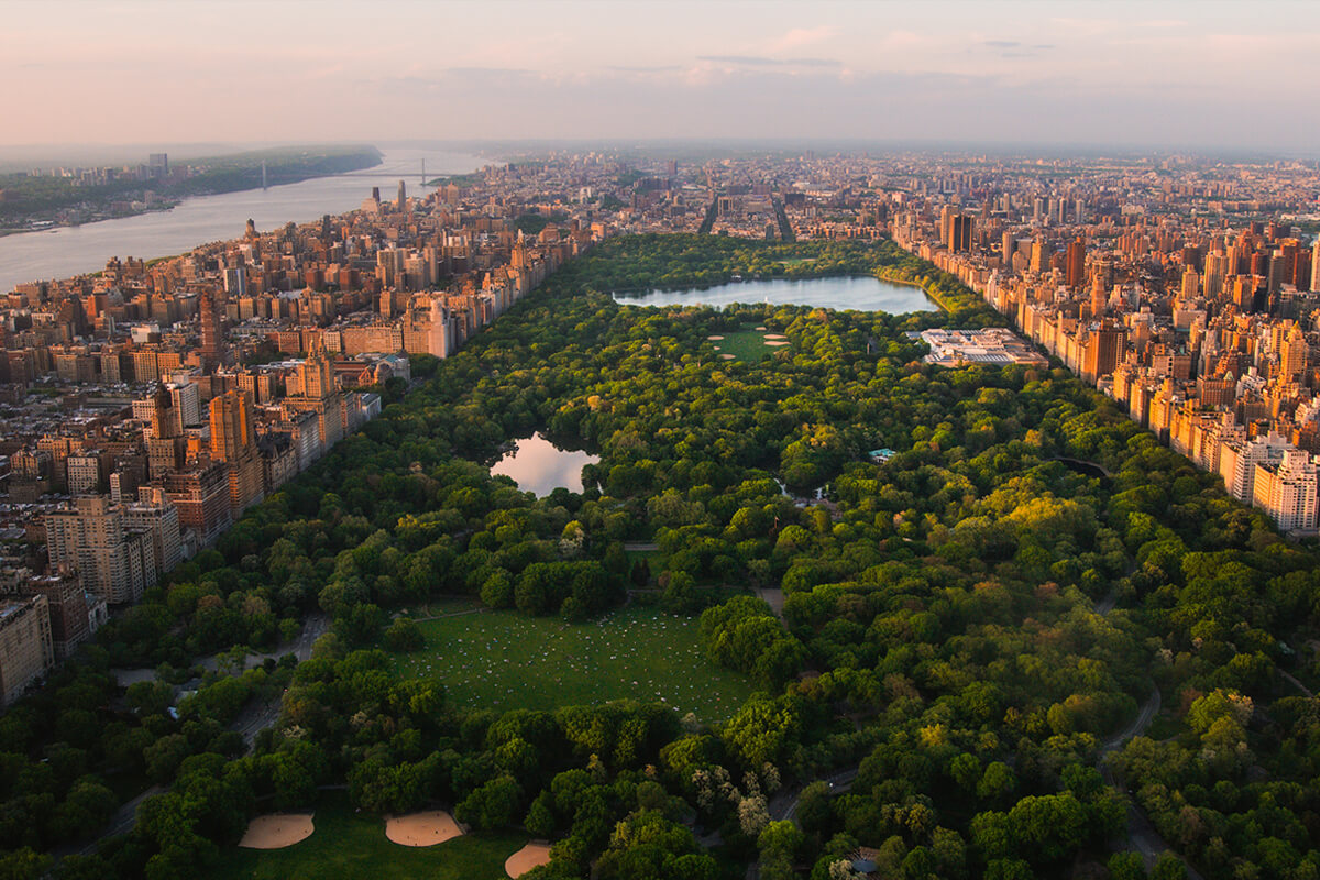 Museums & Central Park