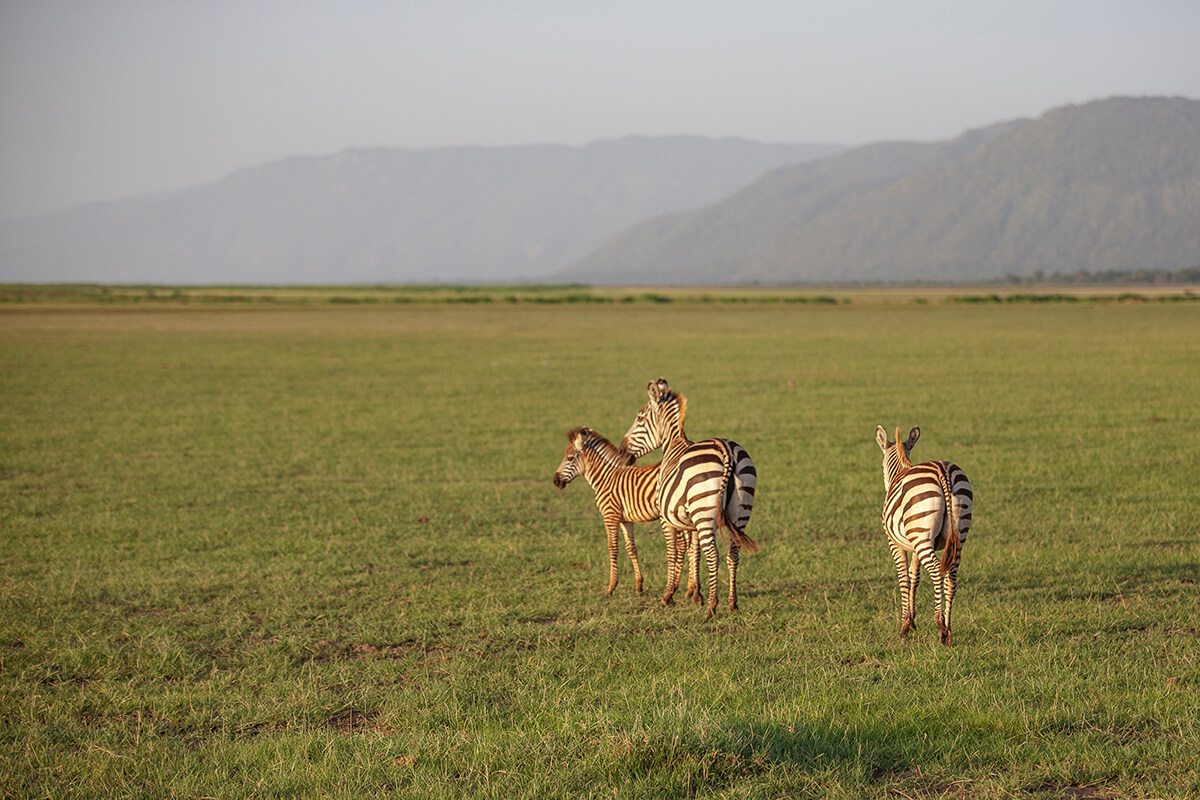 Lake Manyara National Park