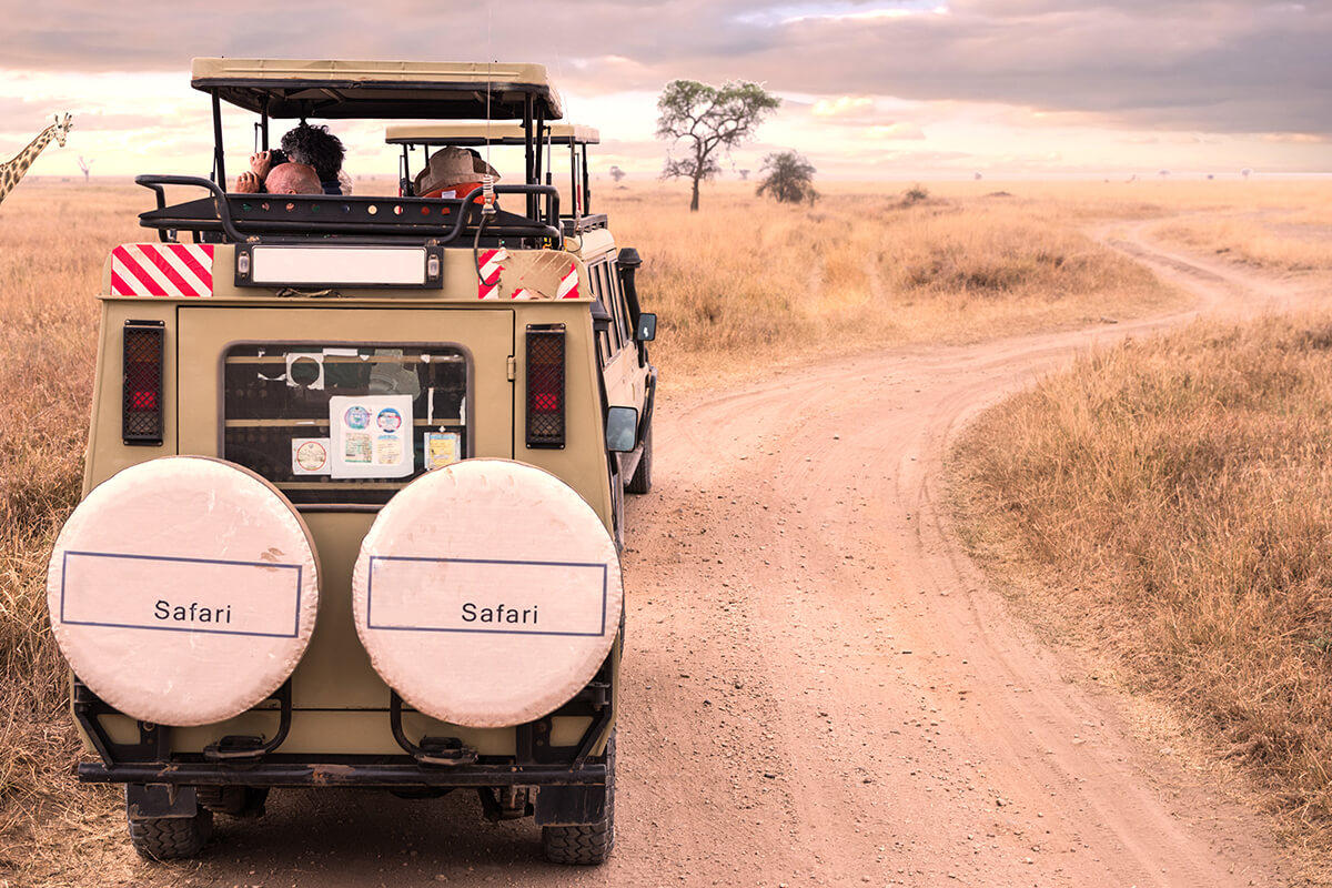 Seronera Area - Central Serengeti