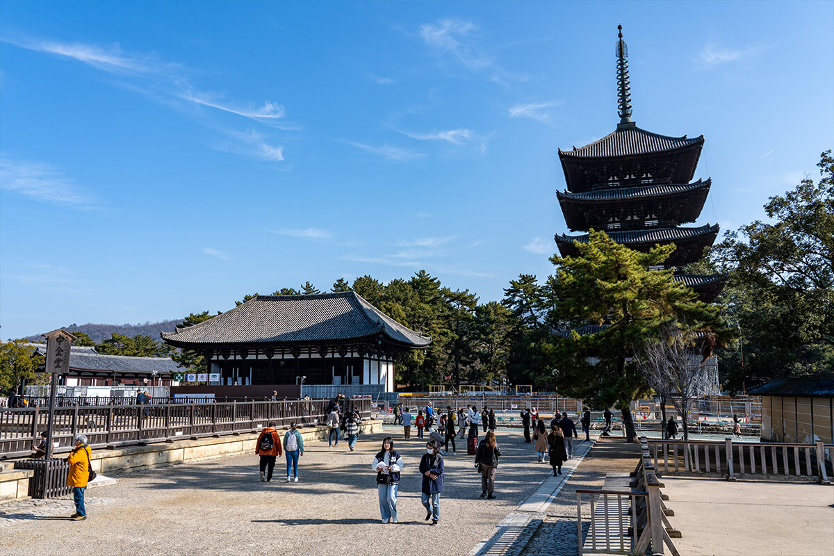 Kyoto + Nara (Day Trip)