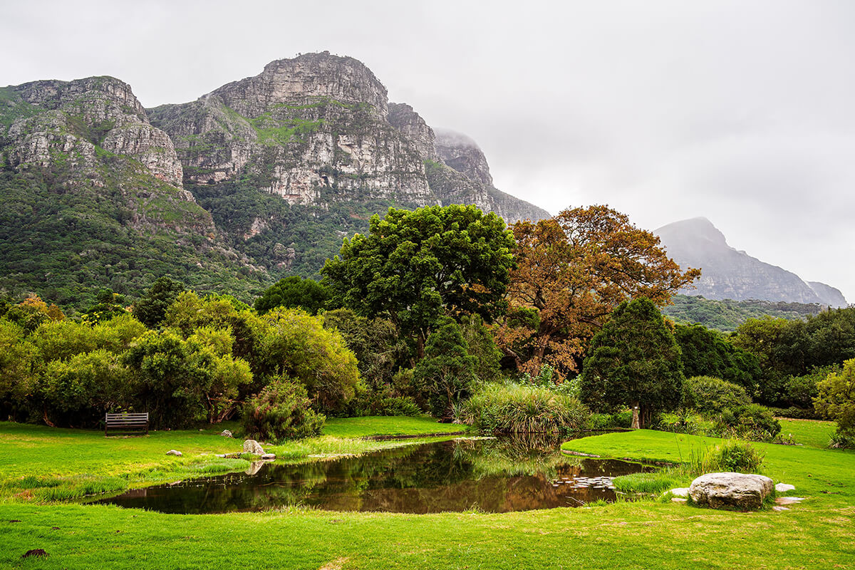 Kirstenbosch Botanical Gardens