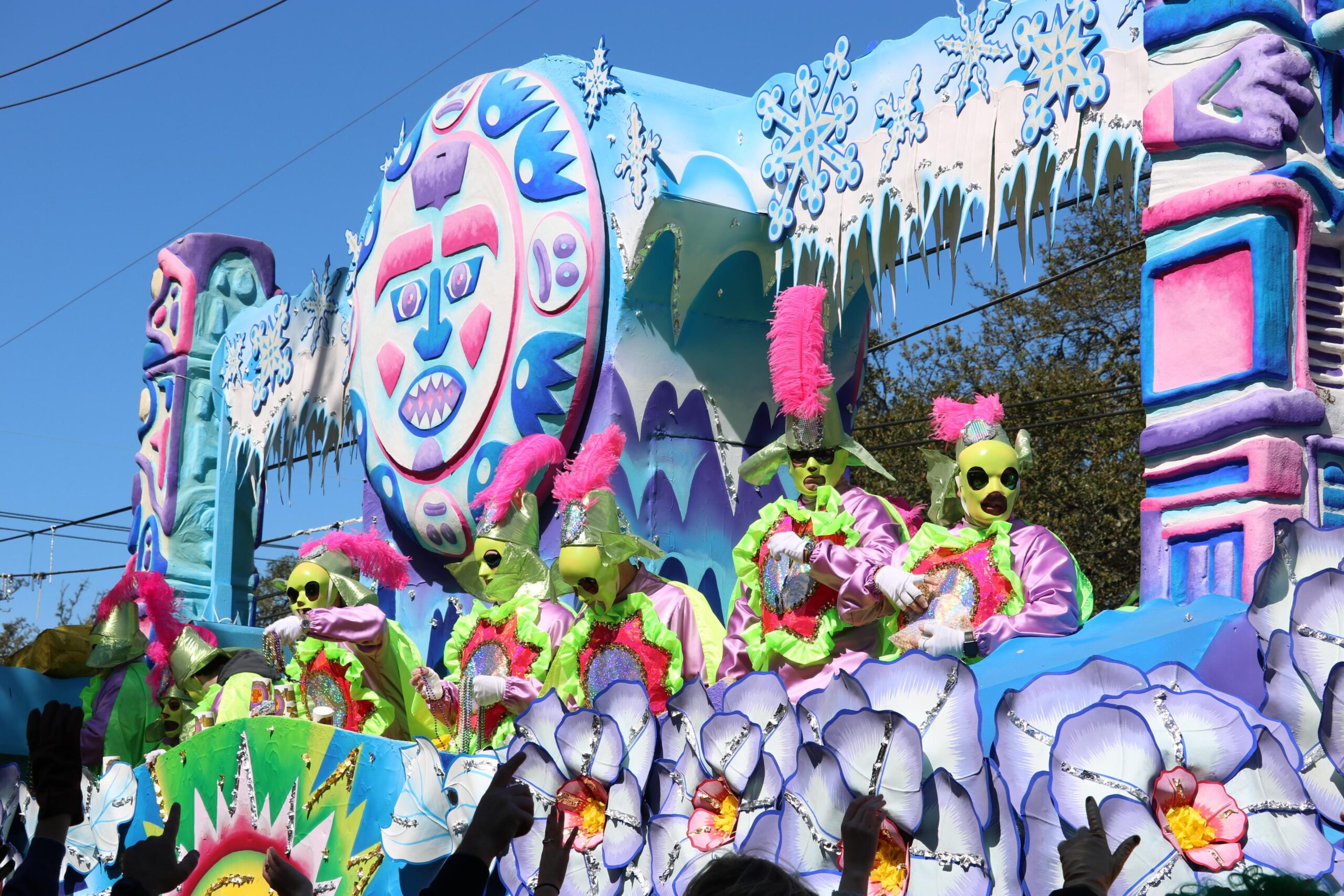 Mardi Gras participants in New Orleans, Louisiana.
