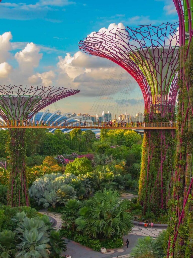 Gardens-by-the-Bay-Singapore