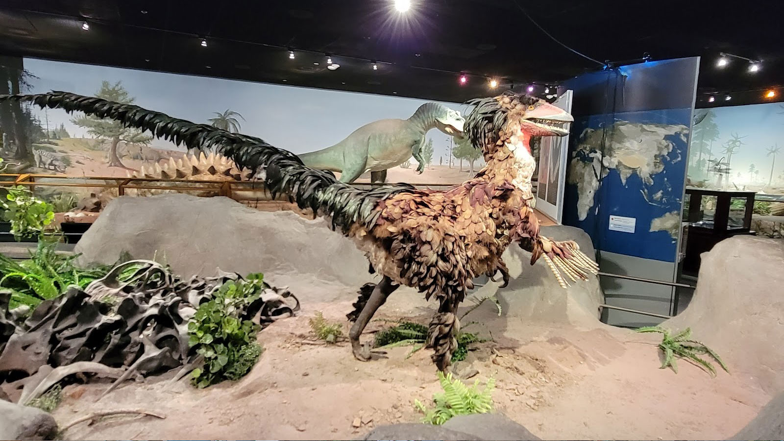 Las Vegas Natural History Museum