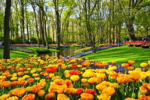 The Ultimate Guide to the Best Places to Travel in April: Spring Escapes for Every Traveler