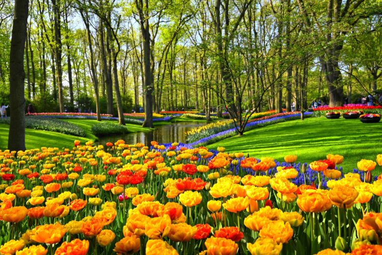 Best Places to Travel in April